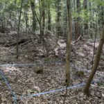 山奥深く・・・