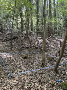 山奥深く・・・